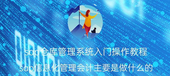 sap仓库管理系统入门操作教程 sap信息化管理会计主要是做什么的？